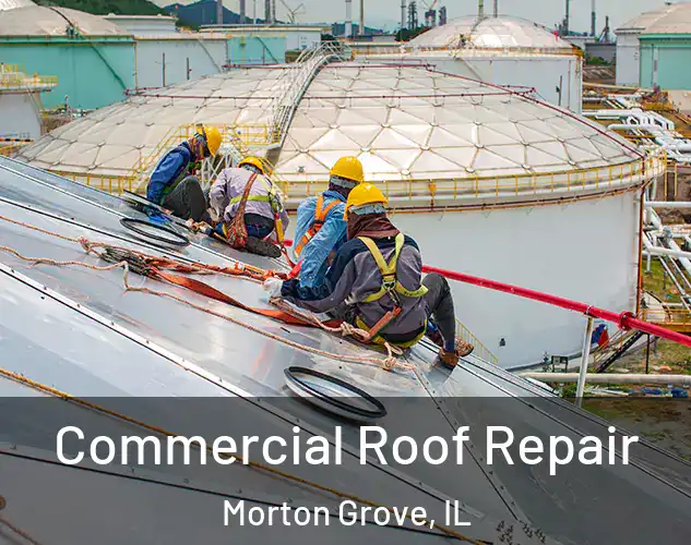  Commercial Roof Repair Morton Grove, IL