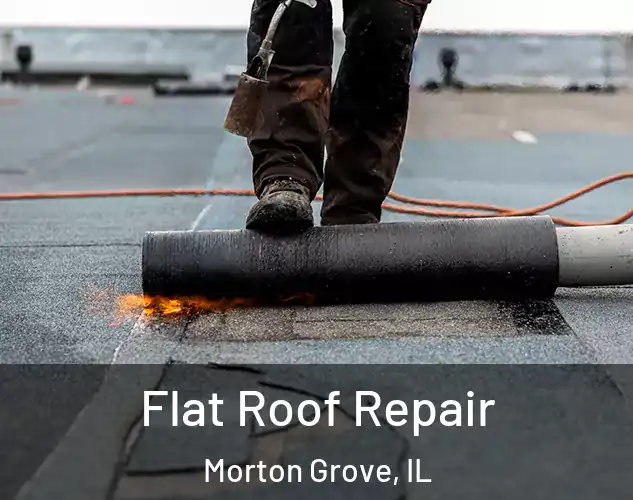  Flat Roof Repair Morton Grove, IL