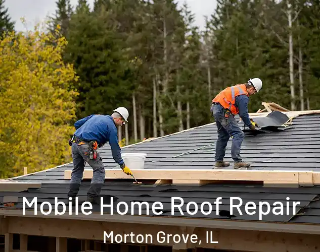  Mobile Home Roof Repair Morton Grove, IL