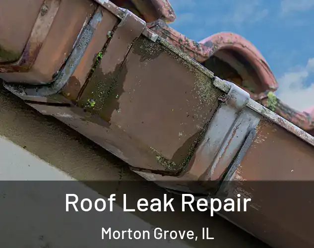  Roof Leak Repair Morton Grove, IL