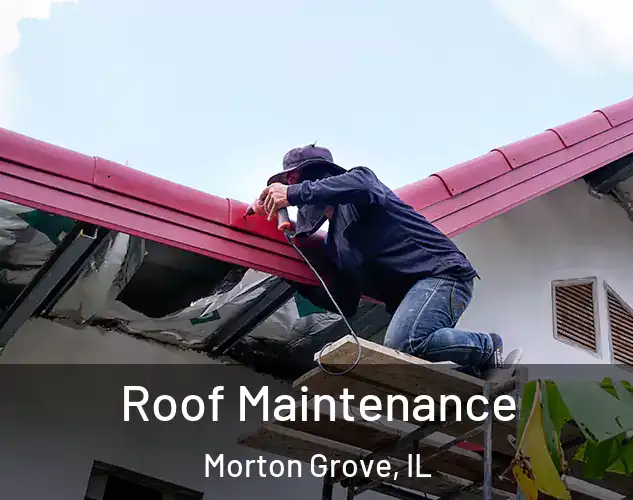  Roof Maintenance Morton Grove, IL