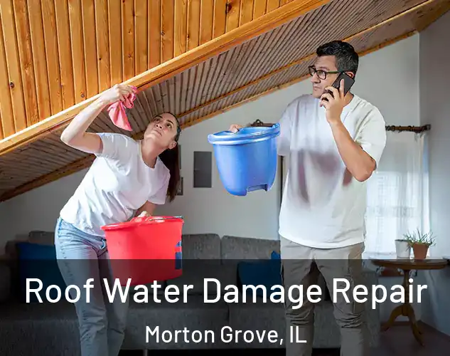  Roof Water Damage Repair Morton Grove, IL