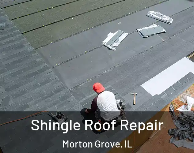  Shingle Roof Repair Morton Grove, IL