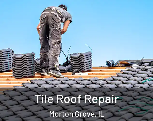  Tile Roof Repair Morton Grove, IL
