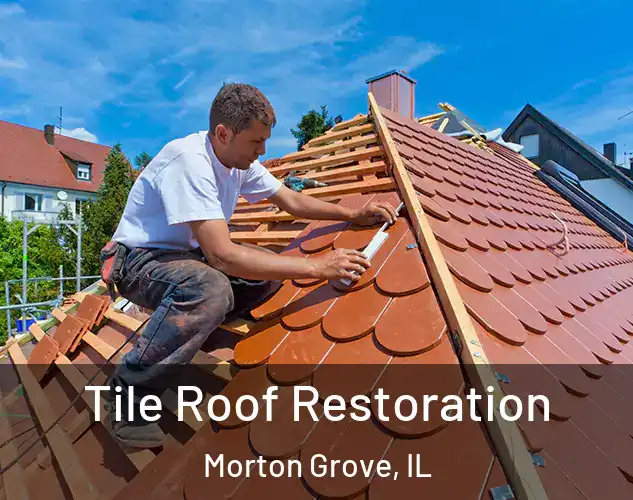  Tile Roof Restoration Morton Grove, IL